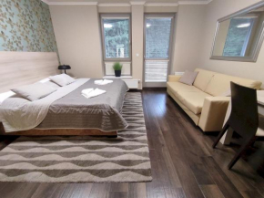 Útulné studio s balkónem, Harrachov